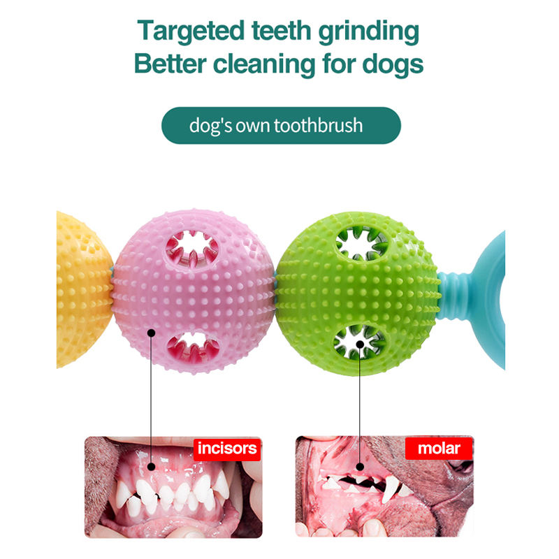 Bâton Dentaire Masticable Chien & Chat