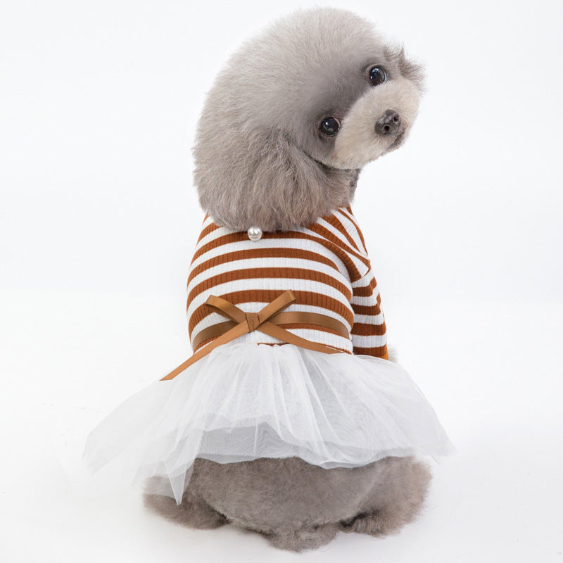 Robe Tutu pour Chien Élégante