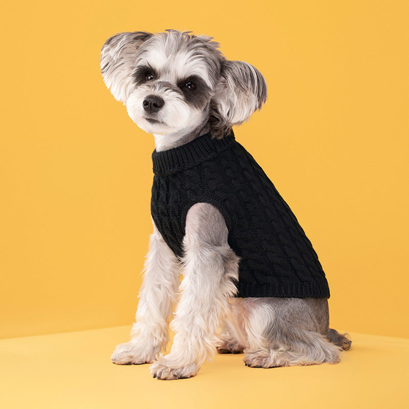 Pull Torsadé Chaud pour Chien