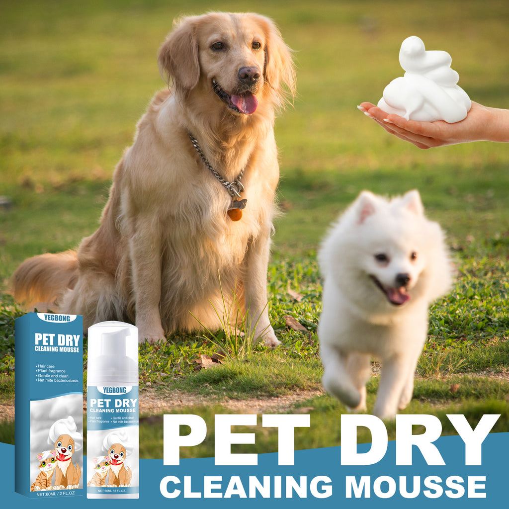 Mousse Sèche Nettoyante Sans Rinçage Chien & Chat