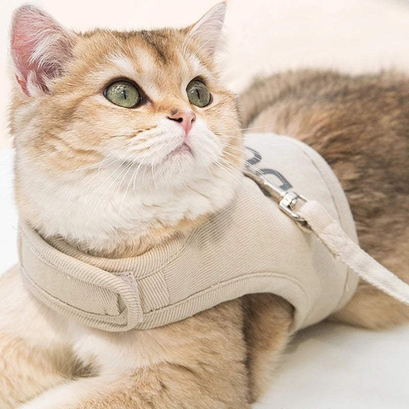 Harnais Poitrine pour Chat Respirant