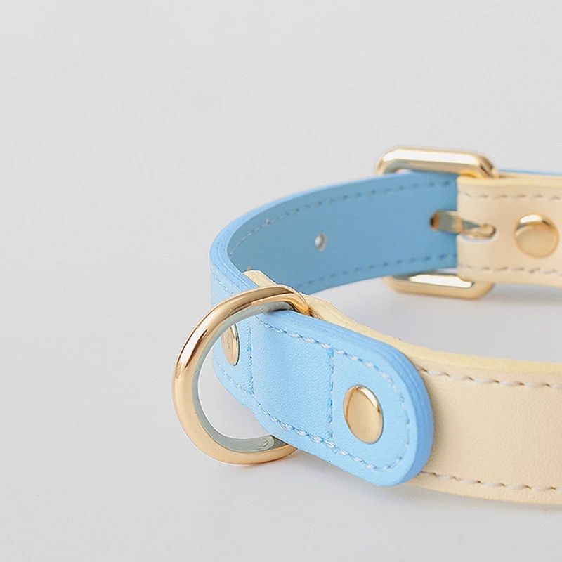 Collier en Cuir Véritable pour Chat