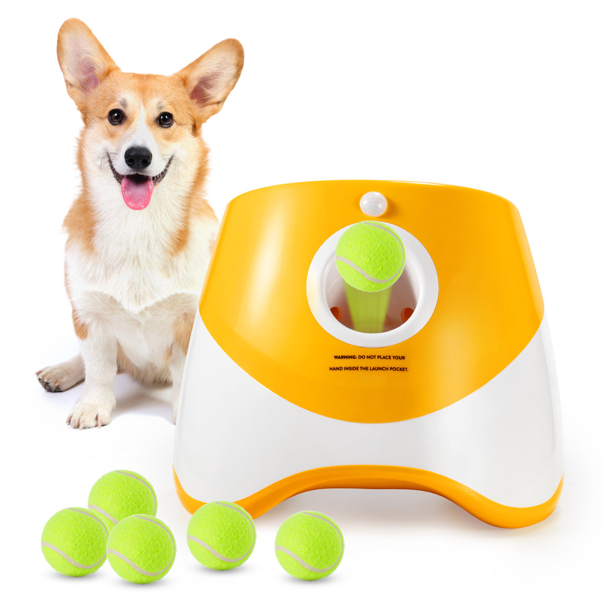 Lanceur de Balle Automatique pour Chien