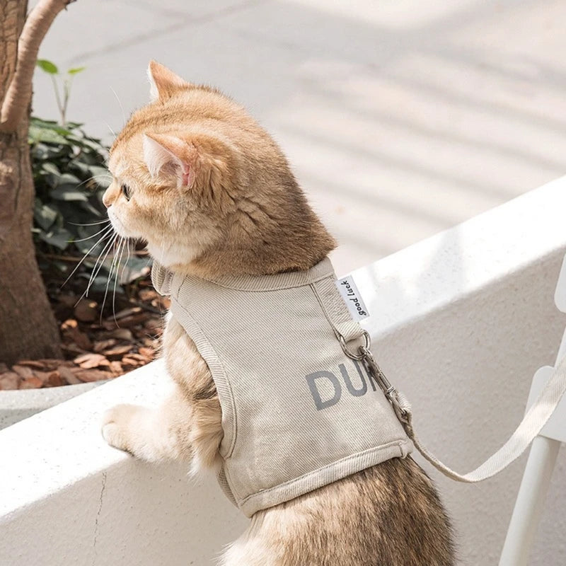 Harnais Poitrine pour Chat Respirant