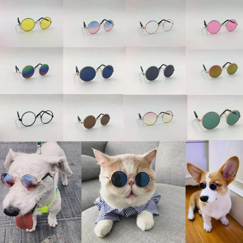 Lunettes de Soleil Protection UV pour Chien