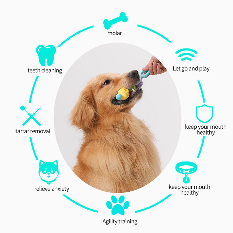 Bâton Dentaire Masticable Chien & Chat
