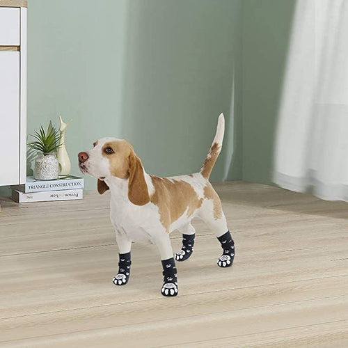 Chaussettes Antidérapantes pour Chien & Chat
