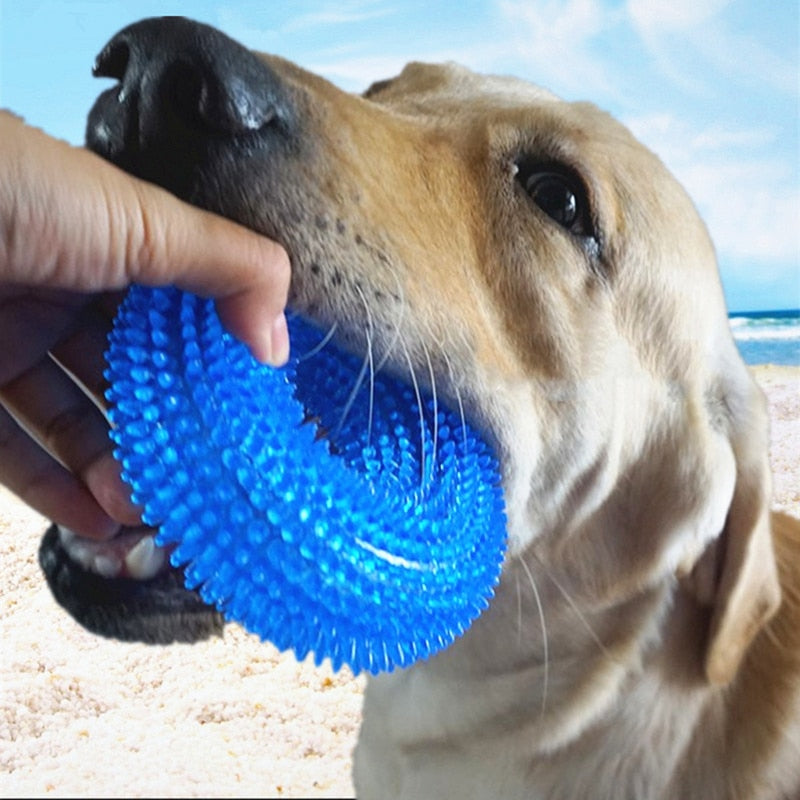 Balle à Mâcher Sonore Anti-Ennui pour Chien