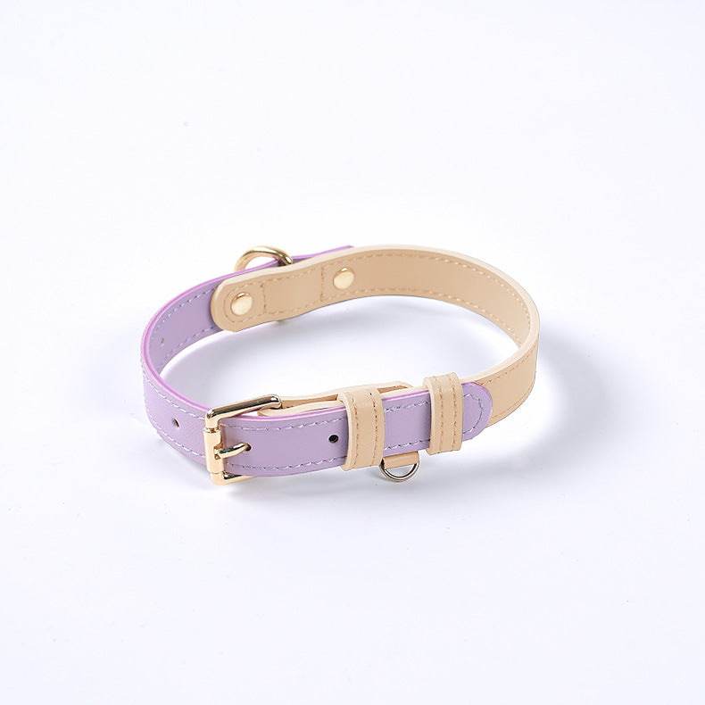 Collier en Cuir Véritable pour Chat