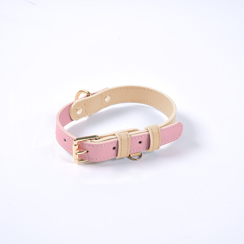 Collier en Cuir Véritable pour Chat
