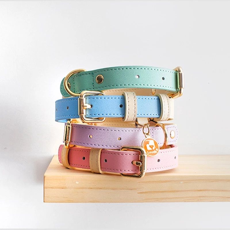Collier en Cuir Véritable pour Chat