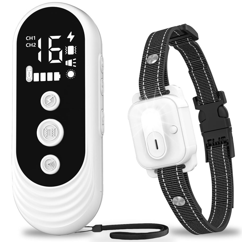 Collier de Dressage pour Chien avec Télécommande