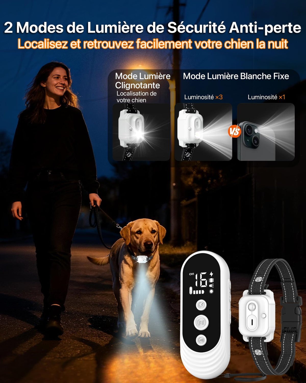 Collier de Dressage pour Chien avec Télécommande