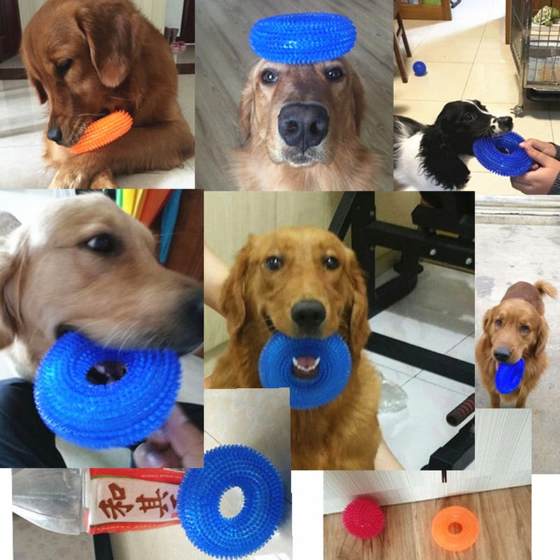 Balle à Mâcher Sonore Anti-Ennui pour Chien