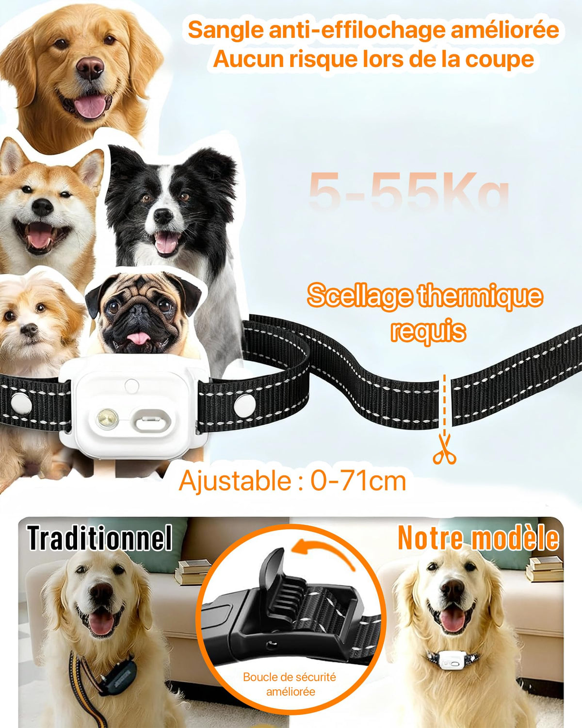 Collier de Dressage pour Chien avec Télécommande