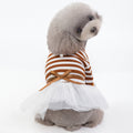 Robe Tutu pour Chien Élégante
