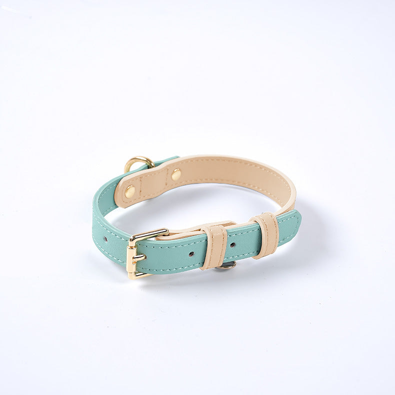 Collier en Cuir Véritable pour Chat
