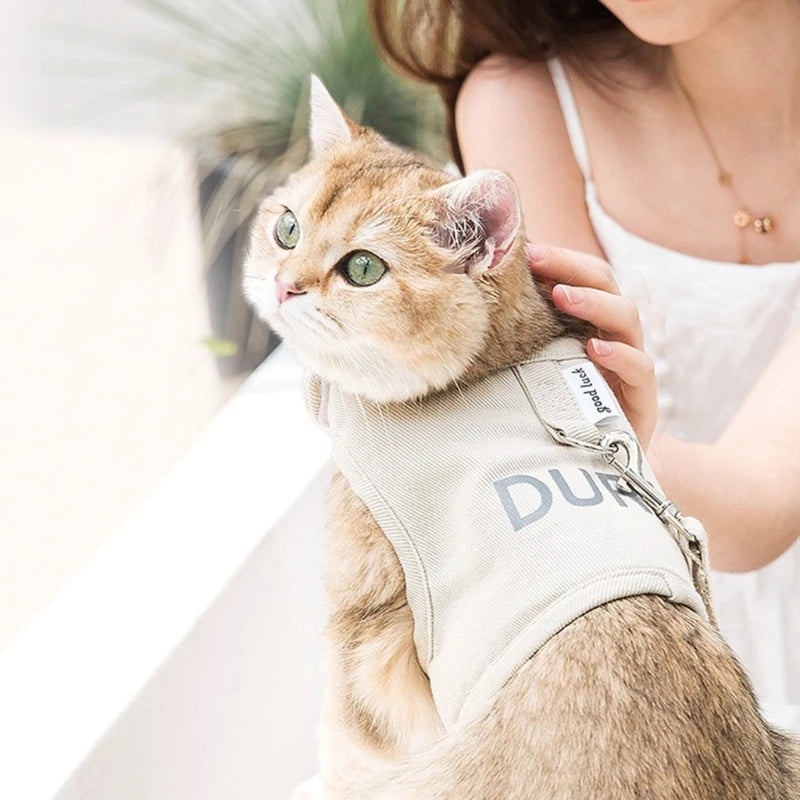 Harnais Poitrine pour Chat Respirant
