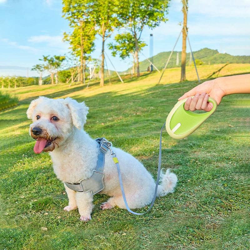 Laisse Enrouleur Automatique pour Chien