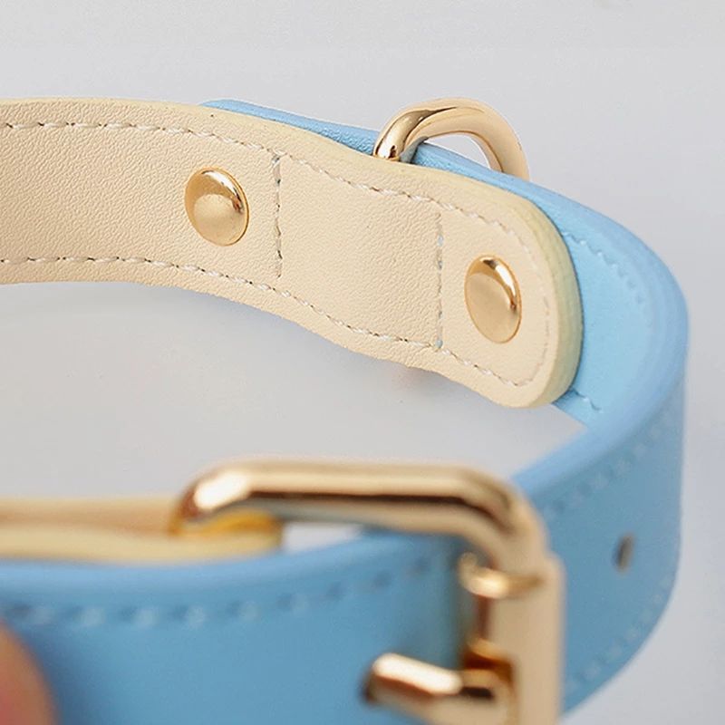 Collier en Cuir Véritable pour Chat