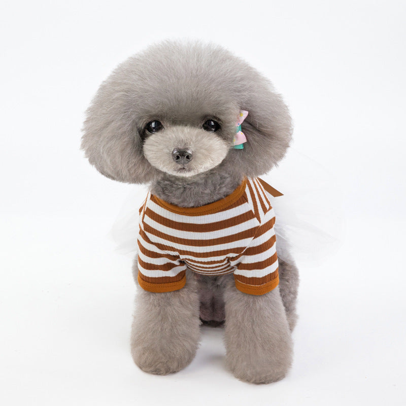 Robe Tutu pour Chien Élégante