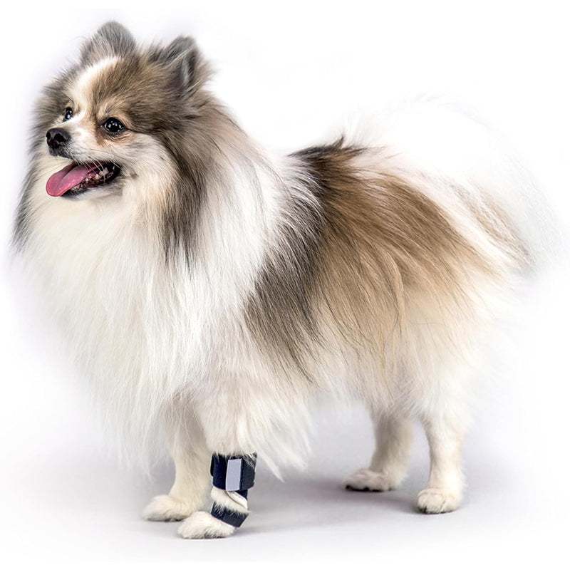 Genouillère de Soutien Articulaire pour Chien