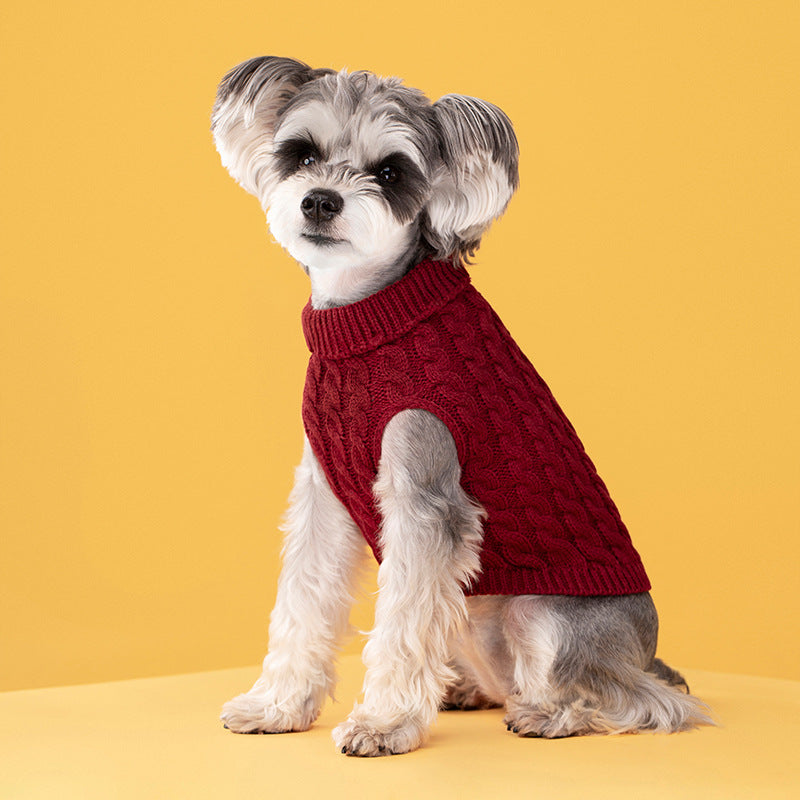 Pull Torsadé Chaud pour Chien