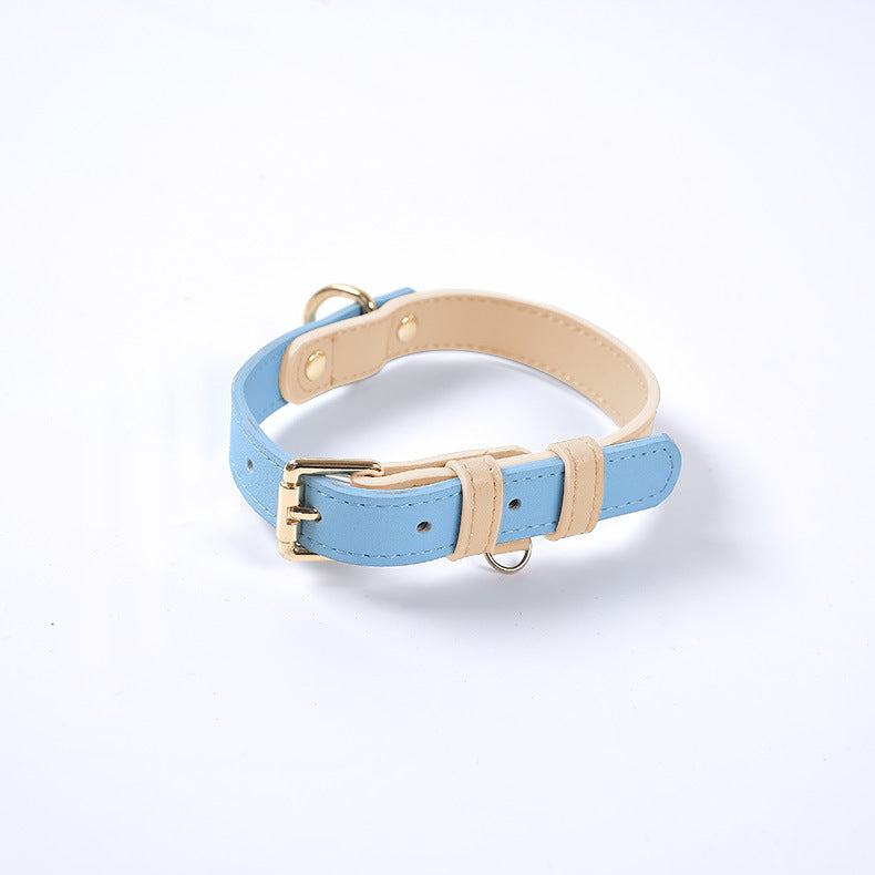 Collier en Cuir Véritable pour Chat