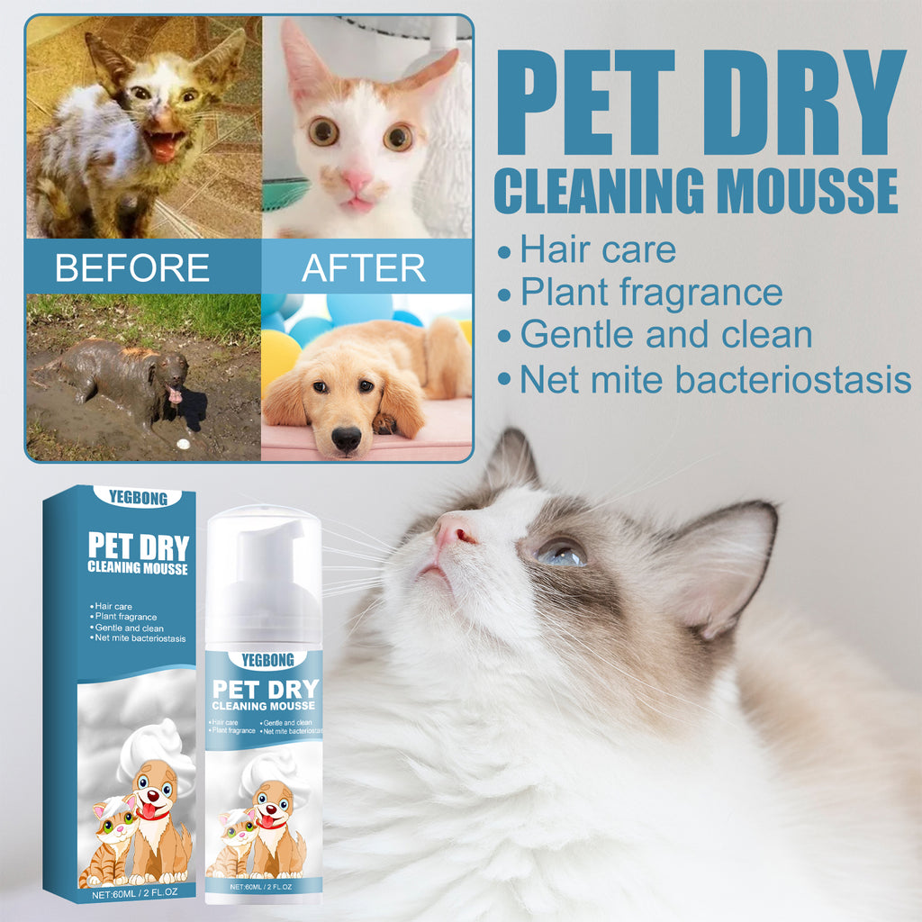 Mousse Sèche Nettoyante Sans Rinçage Chien & Chat