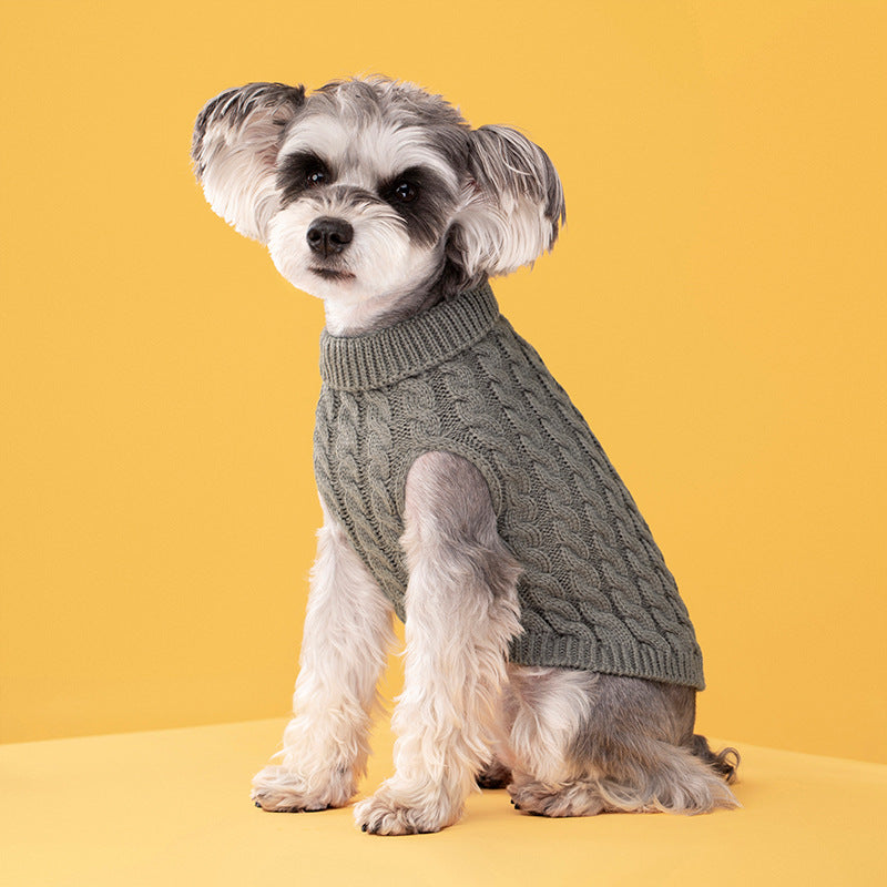 Pull Torsadé Chaud pour Chien
