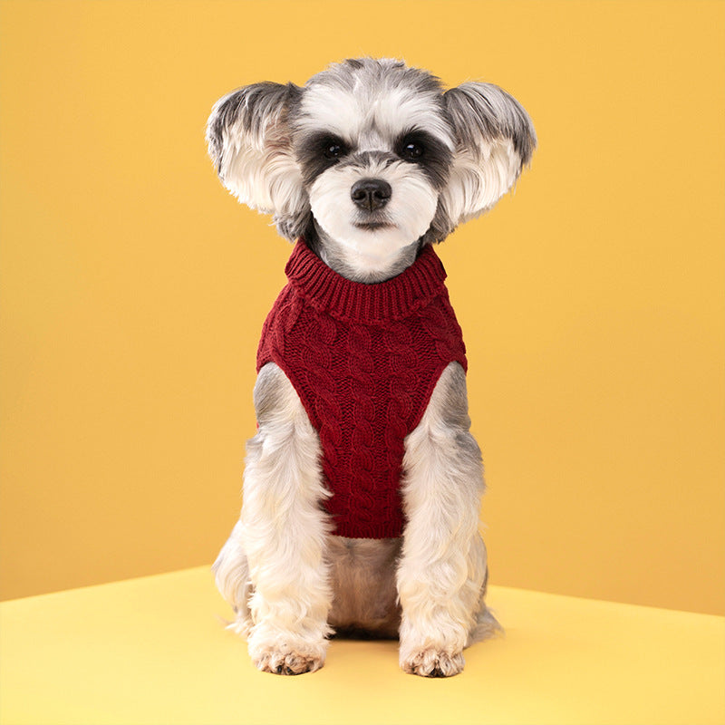 Pull Torsadé Chaud pour Chien