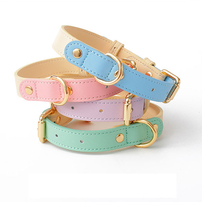 Collier en Cuir Véritable pour Chat