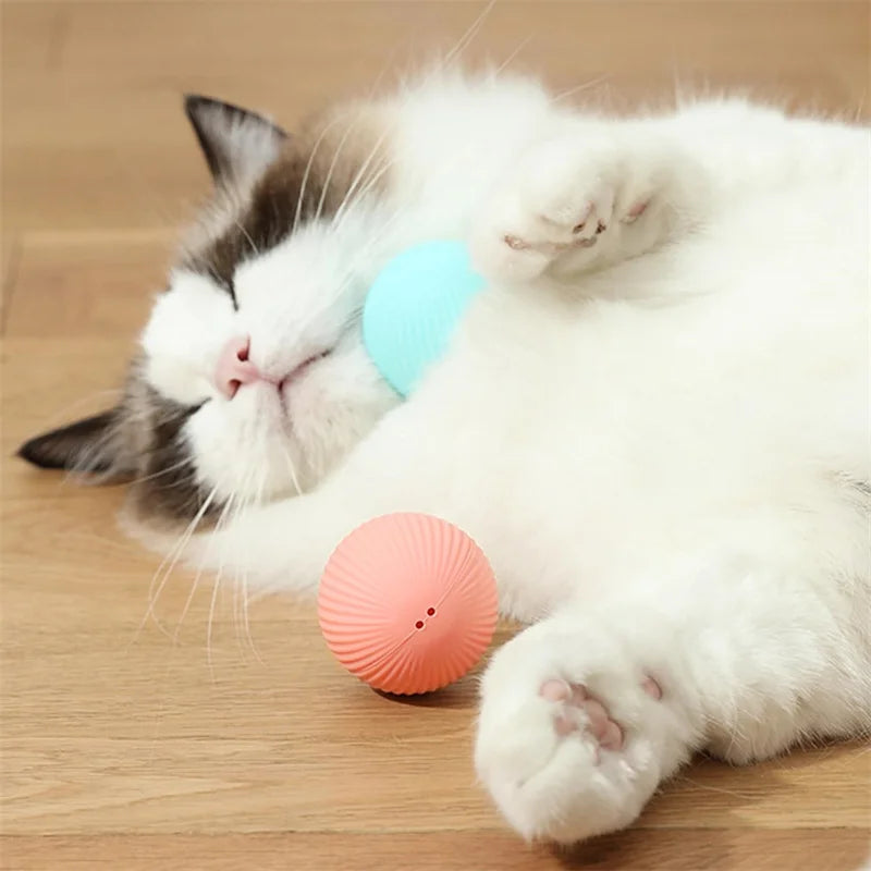 Balle Interactive Automatique pour Chat – Jouet Intelligent Rechargeable USB