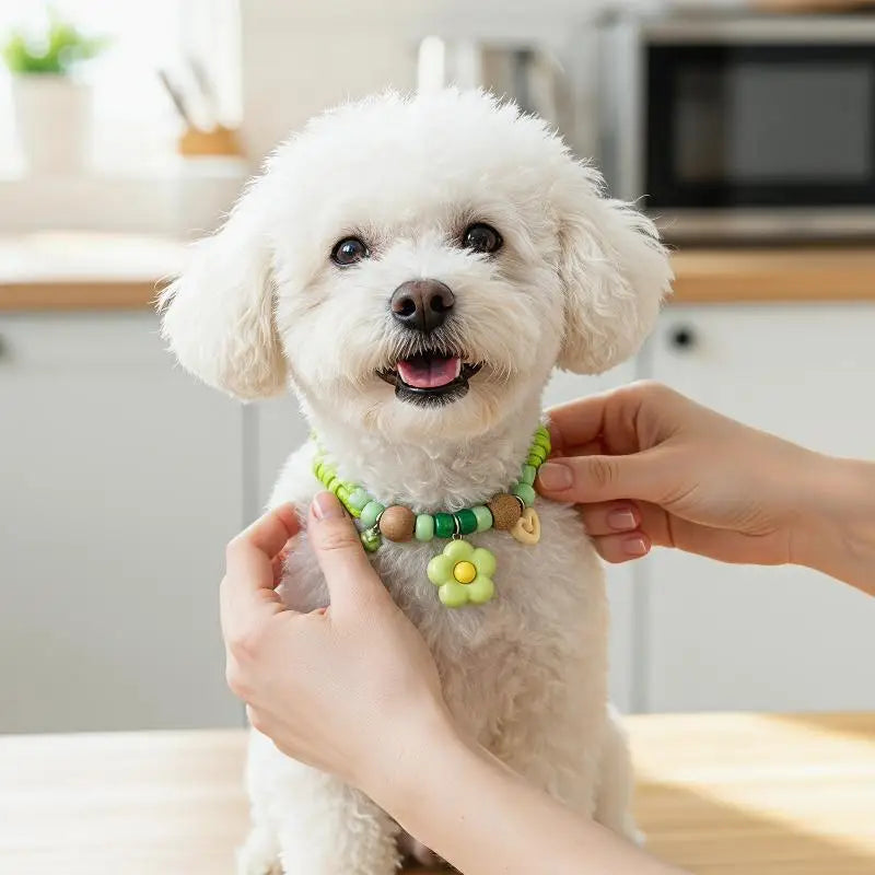 Collier Anti-Puces Macaron Naturel pour Chat