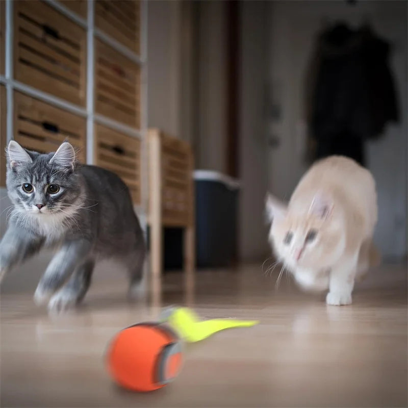 Balle Interactive Automatique pour Chat – Jouet Intelligent Rechargeable USB