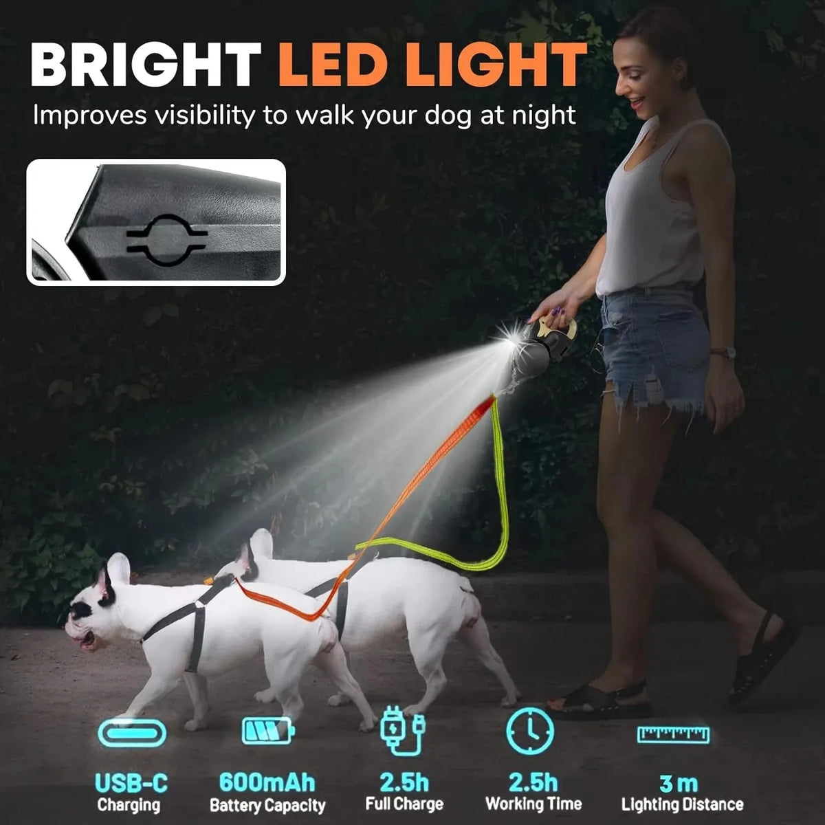 Laisse Rétractable Double pour Chien