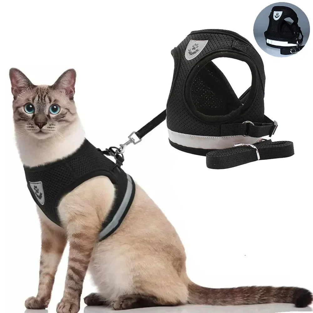 Harnais et Laisse pour Chat Confort
