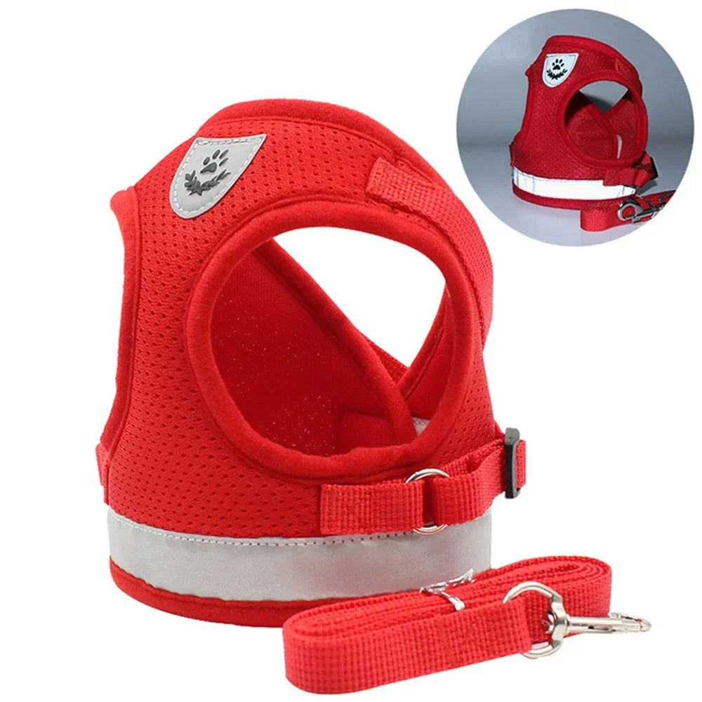 Harnais et Laisse pour Chat Confort